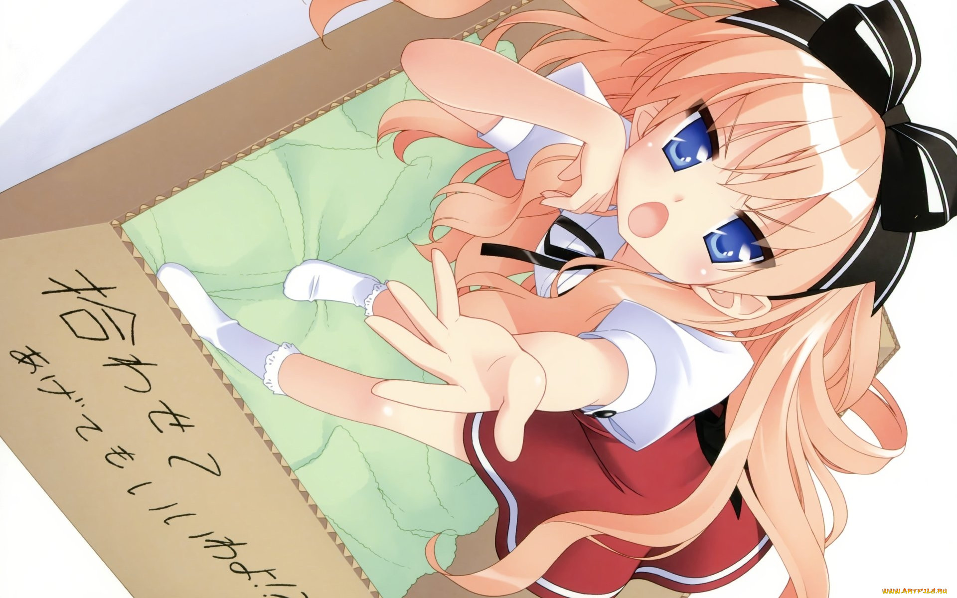 neko overrun, , mayoi neko overrun, , , 